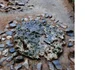 sarmizegetusa regia santiar