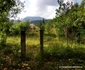 Valea Geoagiului Foto Daniel Guță ADEVĂRUL (45) JPG