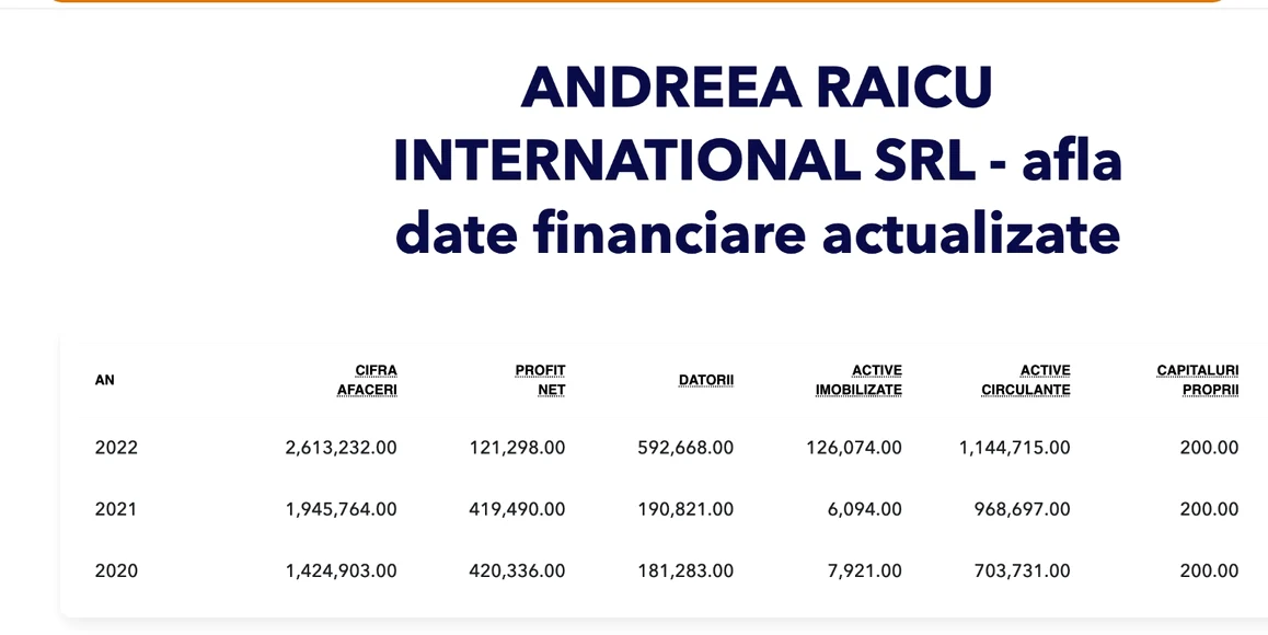 Cifra de afaceri a anului 2022 / foto: captură termene.ro.