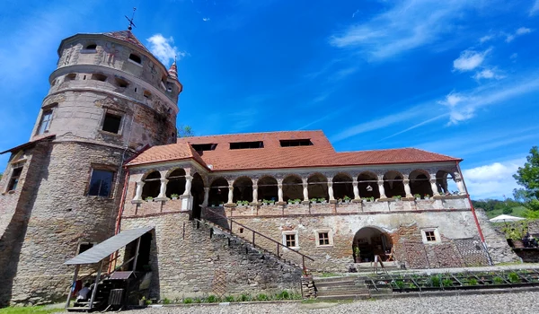 IMG 20250531 114600 jpg