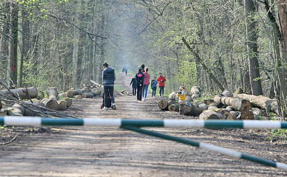 
    Oamenii au ieșit la plimbare în pădurea  Băneasa, profitând  de vremea frumoasă   