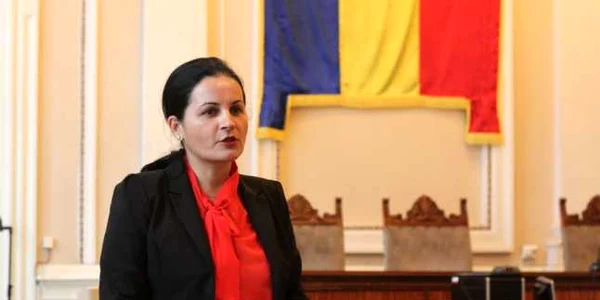 tribunalul mihaela timisan