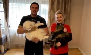 handbalisti cu pisici in brate jpeg