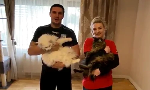 handbalisti cu pisici in brate jpeg