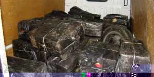 Captură de 15.000 de pachete de ţigări de contrabandă