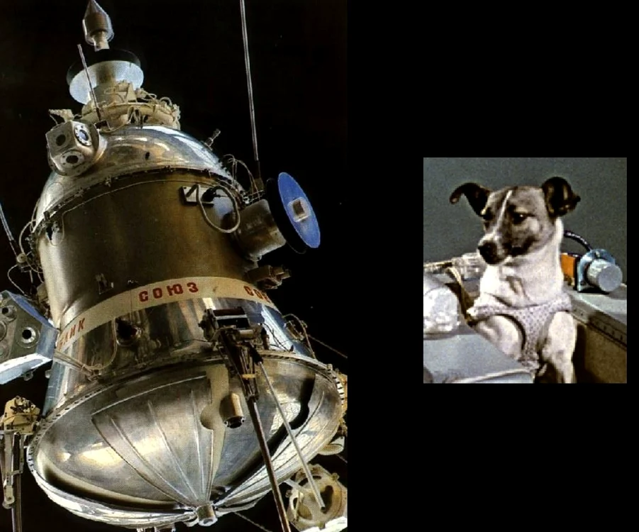 Laika
