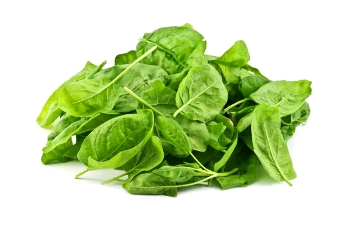 
    Spanacul este leguma vedetă a primăverii  