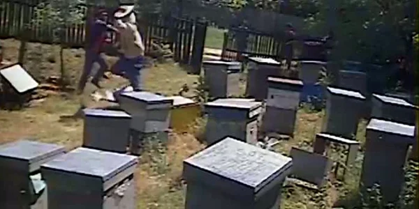Apicultorul a depus plângere la poliie pentru violare de domiciliu