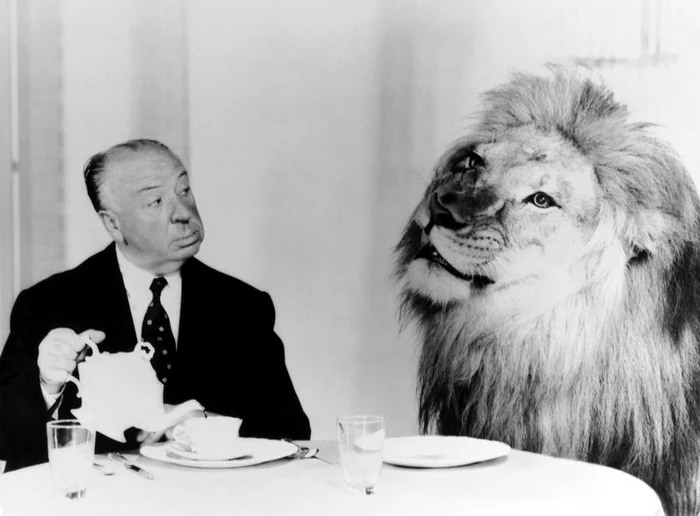 S-a spus că a fost preferatul lui Alfred Hitchock @profimediaclickpentrufemei.ro