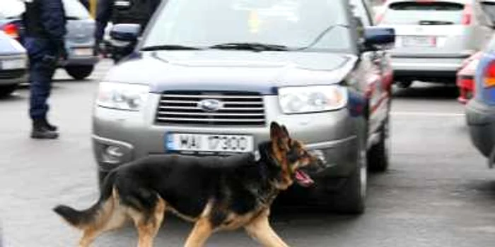 Echipele speciale cercetează zona. FOTO Mediafax