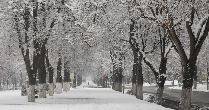 Imagine din Parcul Central