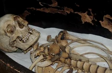 Mumia fratelui faraonului Amenhotep al II lea descoperită? jpeg