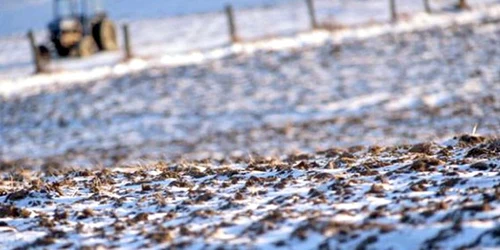 Cooperativele le pot aduce profit fermierilor