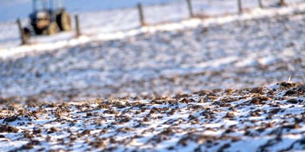 Cooperativele le pot aduce profit fermierilor