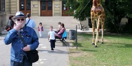 girafa
