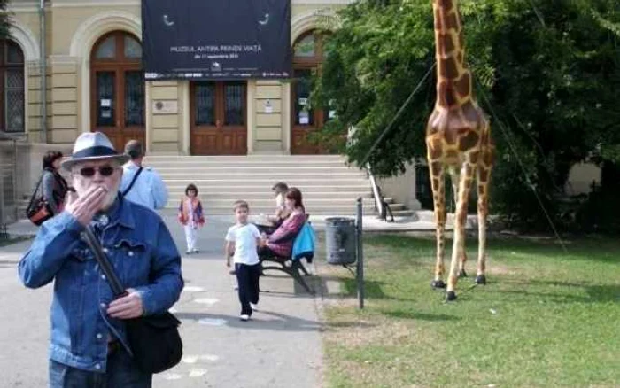 Girafa „Antipatică” era foarte îndrăgită mai ales de prichindei. FOTO Muzeul „Grigore Antipa”