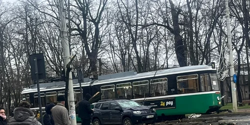 copac cazut Iasi 1, foto Facebook jpg