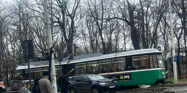 copac cazut Iasi 1, foto Facebook jpg