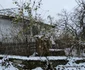 Satul Cerbăl din Hunedoara  Iarna  Foto Daniel Guță (6) jpg