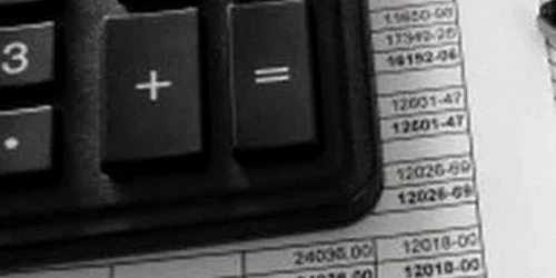 Bacău:Deconturile de TVA vor fi rambursate printr-un sistem informatic