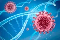 covid bilant coronavirus jpg