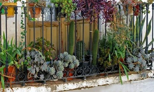 1 47383 original jpg jpeg