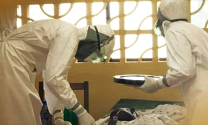ebola