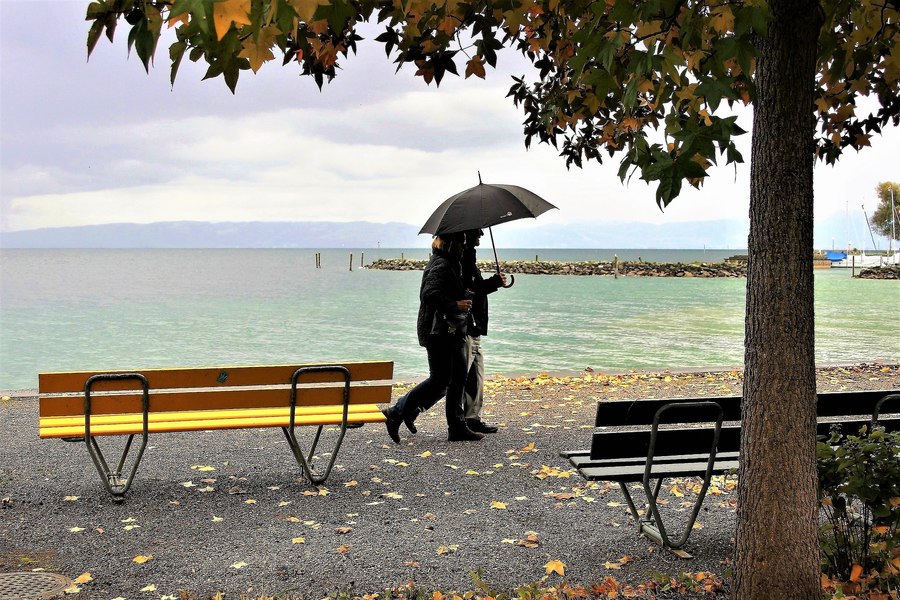 Prognoza meteo pe 4 săptămâni: ce fenomene se anunță și cât de mult va ploua. Zonele cele mai afectate