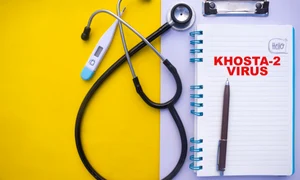 Khosta 2 virus jpg