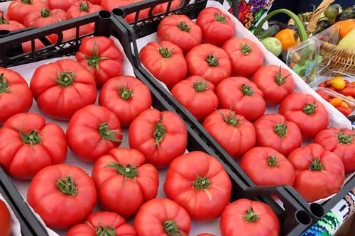 paradaici bun 1 jpg