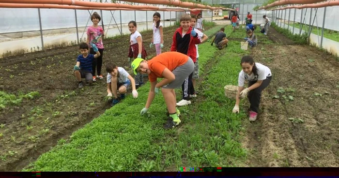 liviu balta colina farms foto arhiva personala