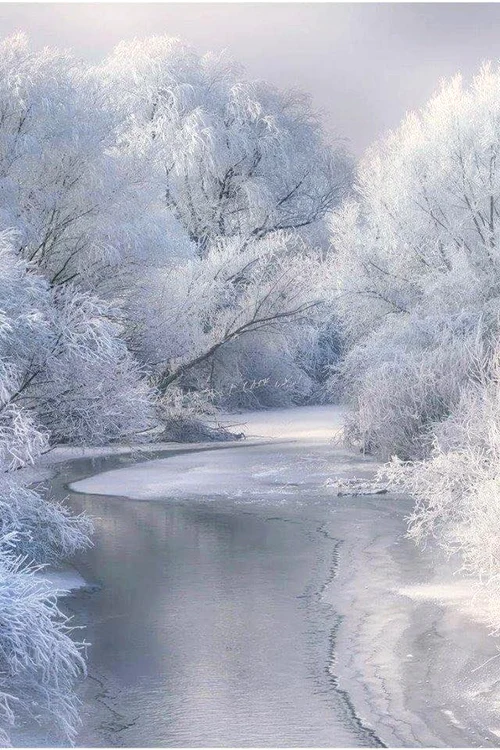 În Deltă, Dunărea a înghețat spectaculos