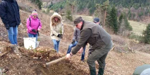 brasov impaduriri tarlungeni