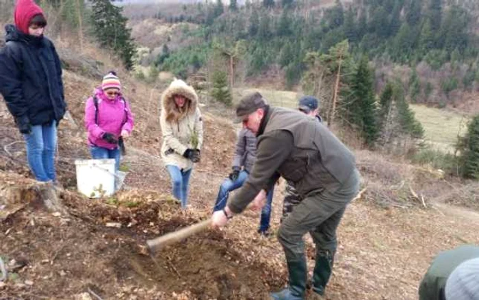 brasov impaduriri tarlungeni