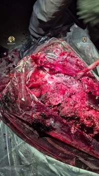 Captură record de cocaină în portul Constanța SURSA DIICOT