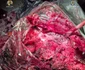 Captură record de cocaină în portul Constanța SURSA DIICOT
