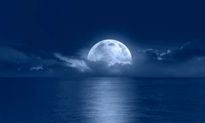 shutterstock 2464171741 jpg