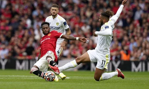 fred manchester united jpeg