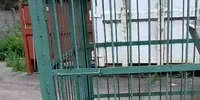 WhatsApp Video 2026 05 13 at 23 02 30 mp4 thumbnail png