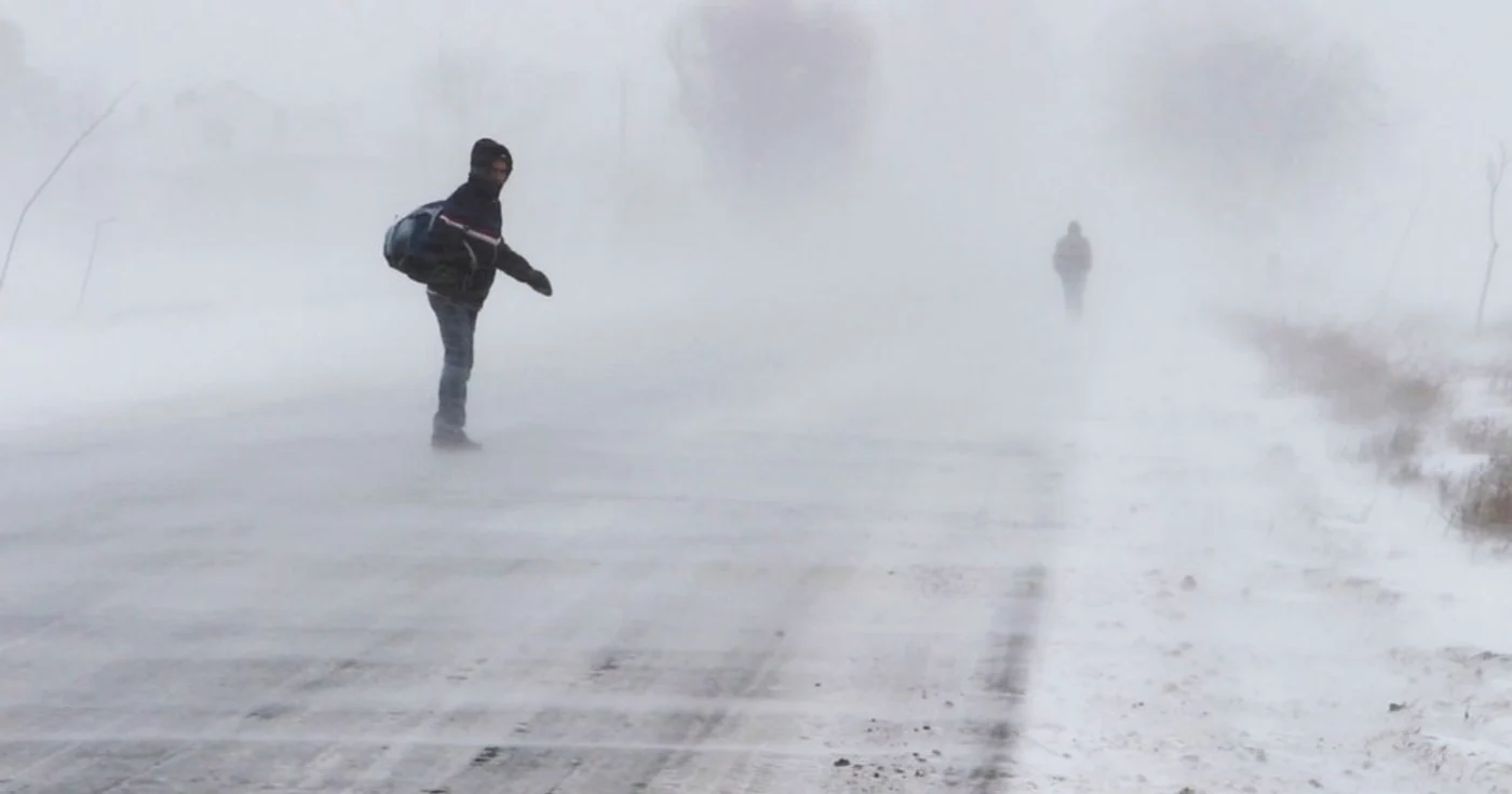 Viscolul face prăpăd în Bărăgan FOTO Adevărul