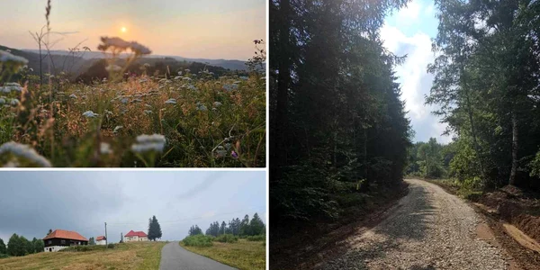 Drumul Feregi Poiana Răchițelii Foto Daniel Guță ADEVĂRUL jpg