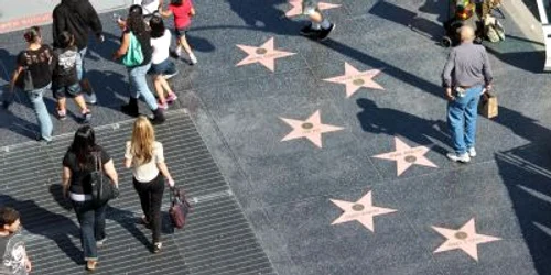 hollywood walk of fame