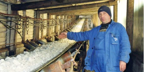 Sarea românească va ajunge şi în această iarnă pe şoselele Europei