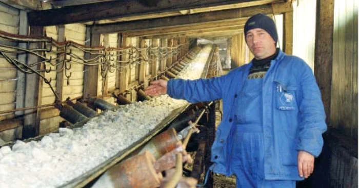 Sarea românească va ajunge şi în această iarnă pe şoselele Europei