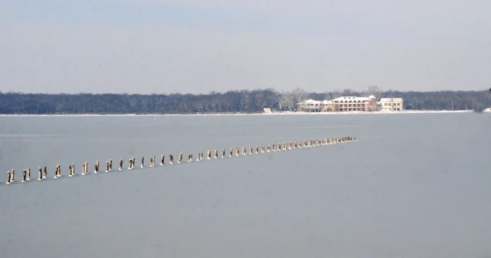 În ultimii ani, Lacul Sărat a îngheţat în fiecare iarnă   FOTO Florentin Coman