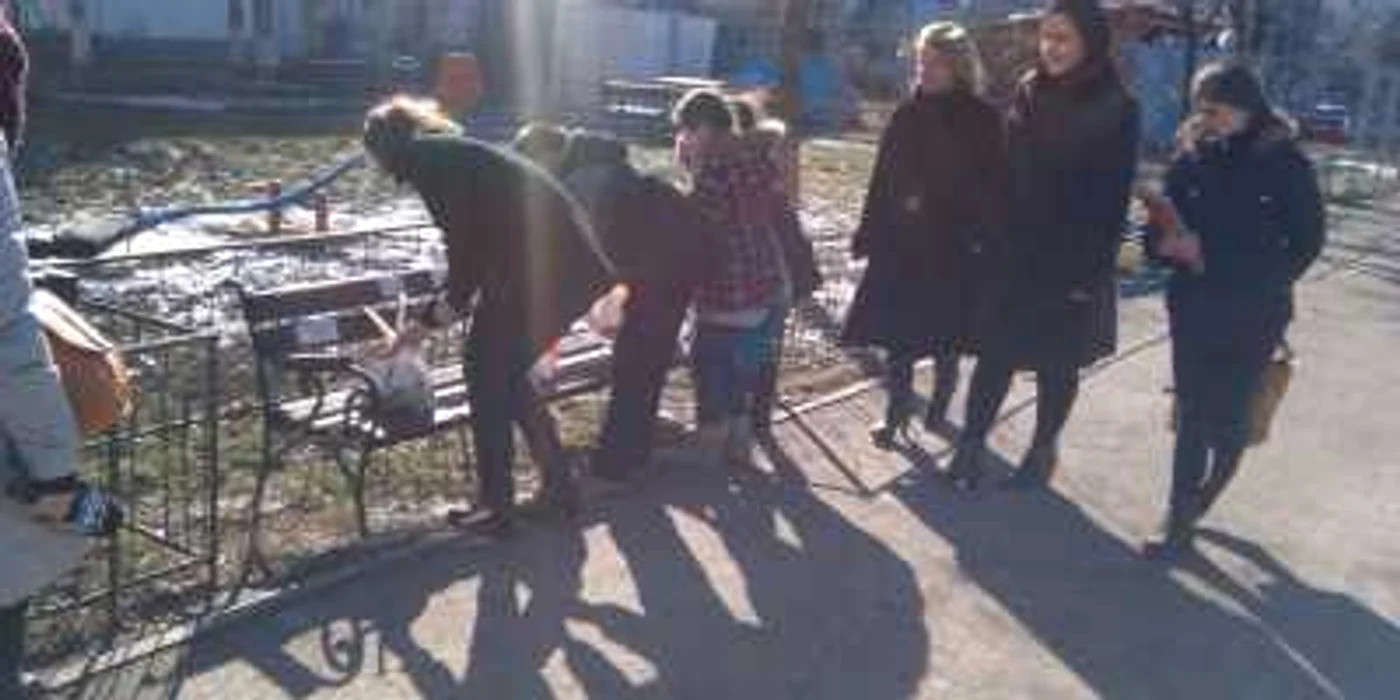 Un grup de orfani din Botoşani şi-a făcut un scop în viaţă din ajutorarea celor nevoiaşi FOTO Cosmin Zamfirache