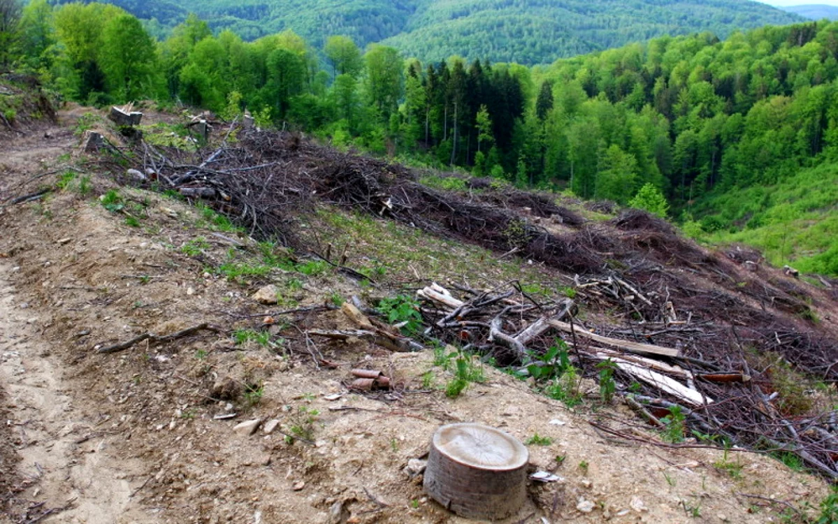 Sunt zone în Oltenia în care
localnicii şi autorităţile au căutat soluţii contra deşertificării, dar acestea
nu au dat rezultate. Între timp, terenurile aride s-au extins.