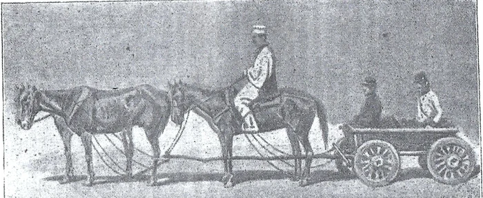 Căruță de poștă brăileană. FOTO: ilustrație „De la Praga la Focșani”, Emanuel Solomon