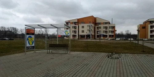 uvt transport