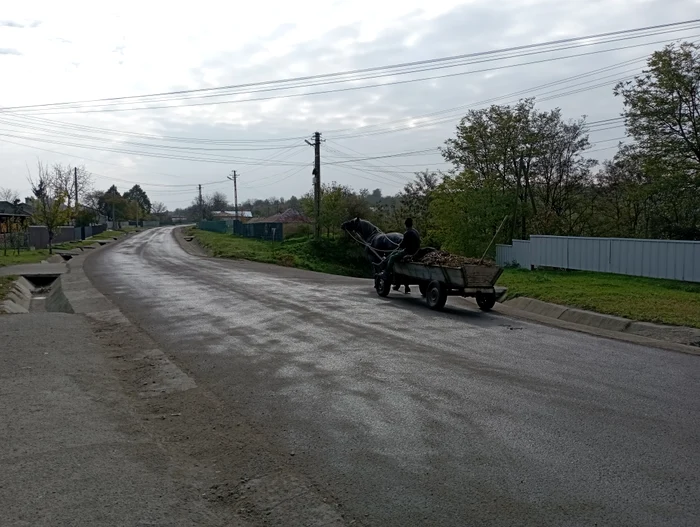 Sărăcia este o consecință a vânzăriii terenurilor FOTO Cosmin Zamfirache
